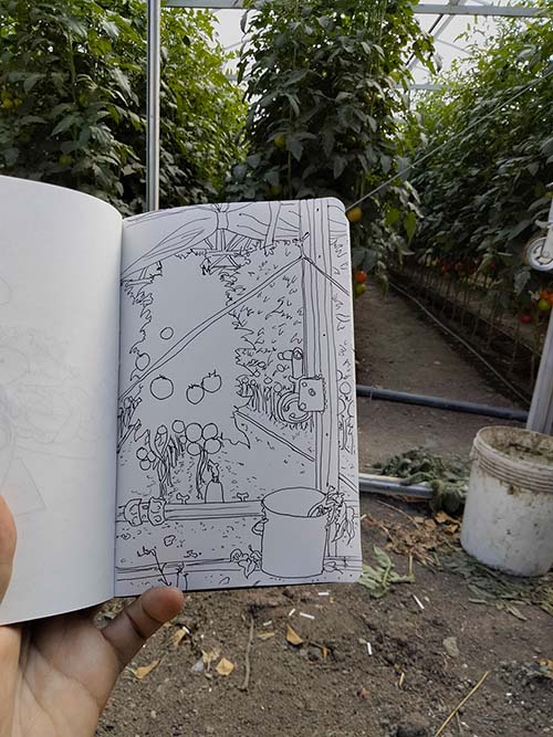 carnet de dessin devant serre de tomate